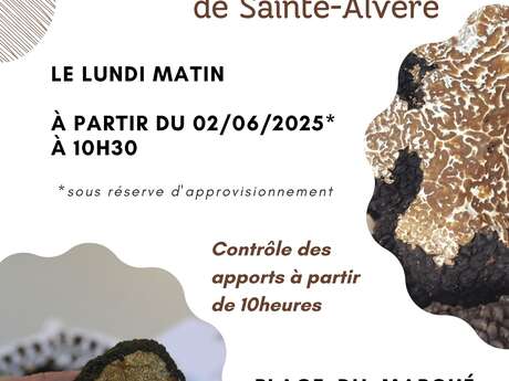 Marché aux truffes d'été à Sainte-Alvère - à partir du 2 juin 2025