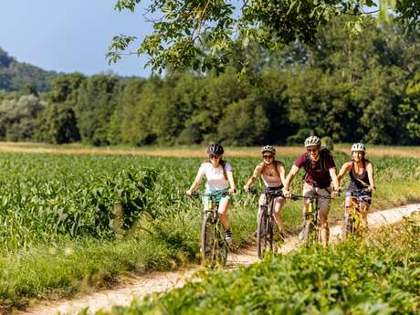 Printemps de la biodiversité - Balade printanière à vélo