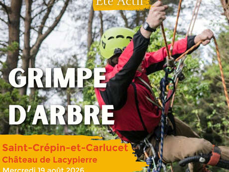 ÉTÉ ACTIF : Grimpe d'arbre à Saint-Crepin-Carlucet