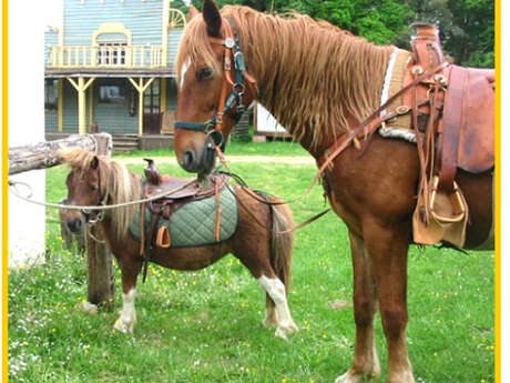 A cheval comme au FAR-WEST !