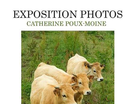 Exposition photos : Catherine Poux-Moine