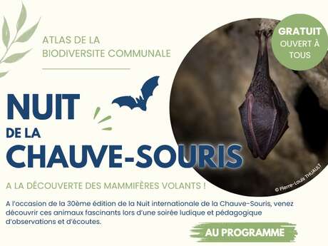 Nuit de la chauve-souris