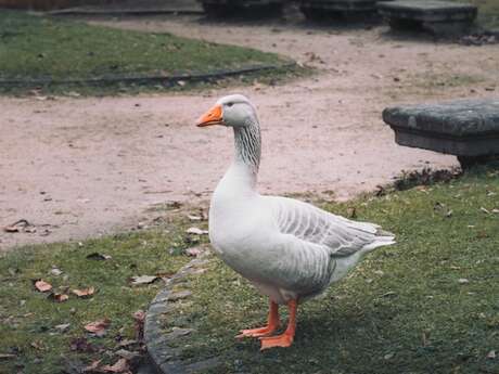 Journée du Patrimoine et du foie gras