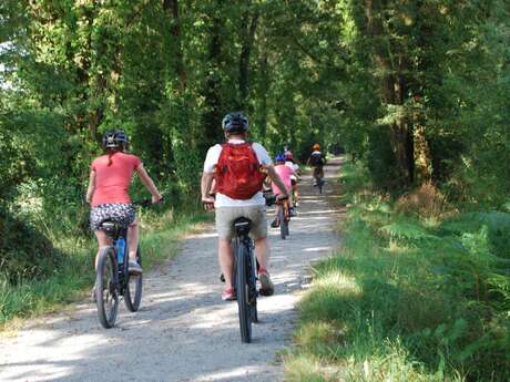 Eté actif - VTT électrique