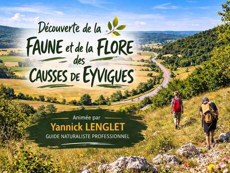 Découverte de la faune et de la flore des causses de Eyvigues