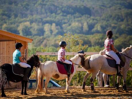 Week-end bien-être, nature et chevaux