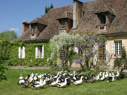 Ferme Auberge de Biorne