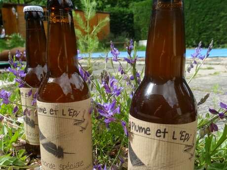 Bière - La Plume et l'épi