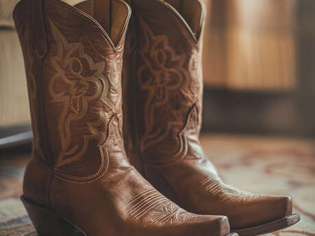 Bal Country/Line danse