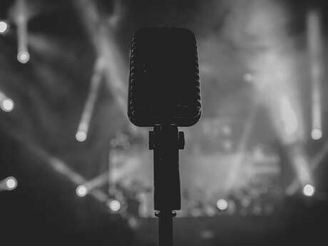 Les Zigolos: Musique: Les Onoma-Topeurs