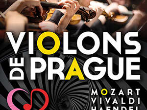 Concert - Violons de Prague