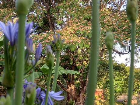 Le Jardin de Myrtille