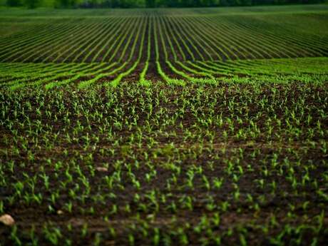 Journée de l'agriculture