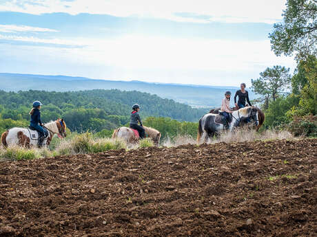 Comme les chevaux d'Ans