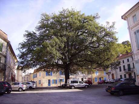 Boucle de Mussidan et ses faubourgs