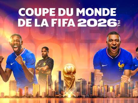 Soirée match coupe du monde