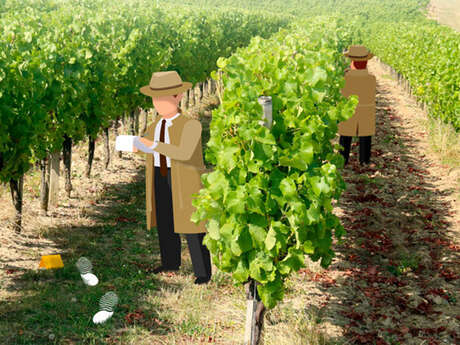Cluedo géant dans les vignes | Château du Haut Pezaud