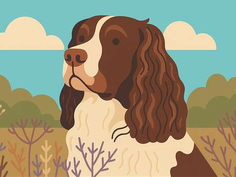 Concours Départemental de Chien de Pied de Sanglier