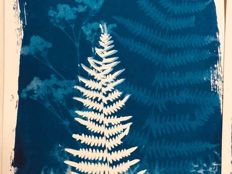 Atelier cyanotype sur papier