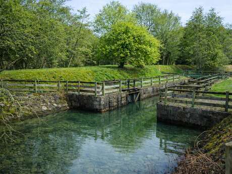 Visite de l'écluse du Chambon