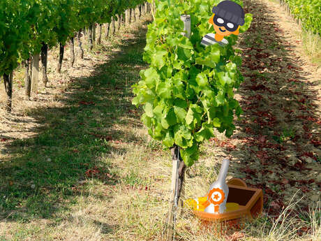 Escape game dans les vignes | Château du Haut Pezaud