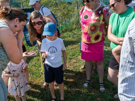 Visite d'un élevage d'escargots