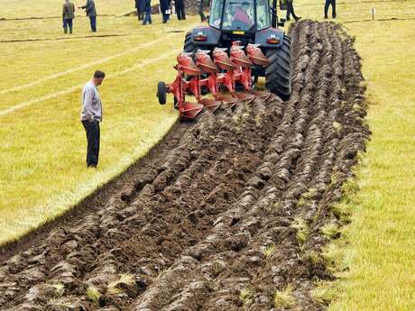 CONCOURS DE LABOUR  de TRACTEURS ANCIENS