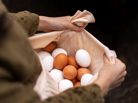 Chasse aux oeufs pour les grands