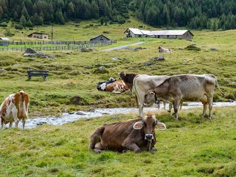 Projection documentaire - La ferme des Bertrand