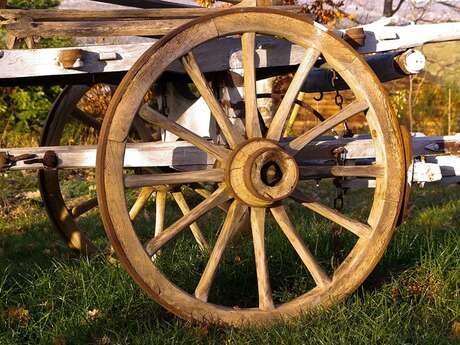Marché gourmand nocturne bio à la ferme