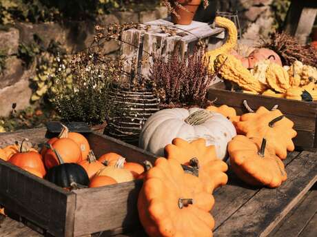Fêtes de la citrouille : soirée jeux de société autour d'un repas d'automne