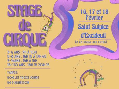 Stage de cirque