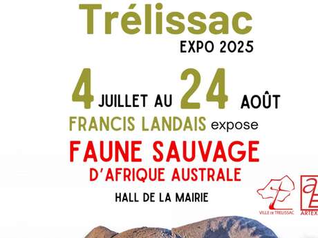 Exposition photo : la faune sauvage d'Afrique australe