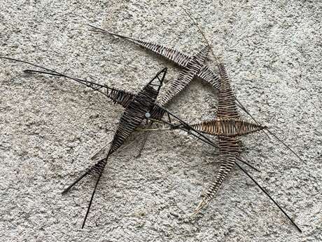 Vannerie hirondelle