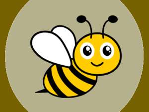 Iris Tour 2025 : Esca'Bzzz Game