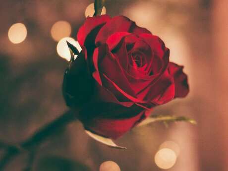 La Saint-Valentin au restaurant Nosco