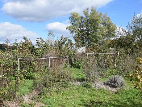 Mercredi en famille : jardinage, poissons d'avril ou club CPN