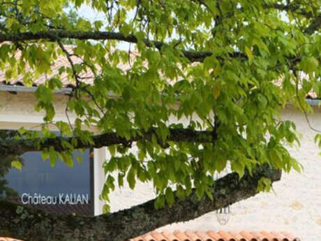 Château Kalian | Jeux & dégustation