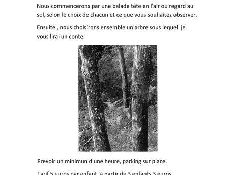 Conte en forêt
