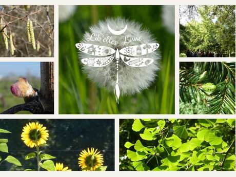 Atelier : découverte de la Gemmothérapie