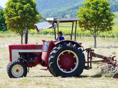 Comice agricole