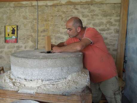 Printemps à la ferme: au Domaine de Rapatel châtaignes du Périgord