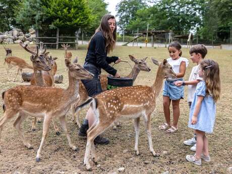 Vivez la Préhistoire : animaux et ateliers au Parc du Thot