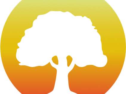 Stage de yoga Iyengar et Yoga aérien