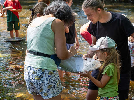 Stage de Chercheur d'or