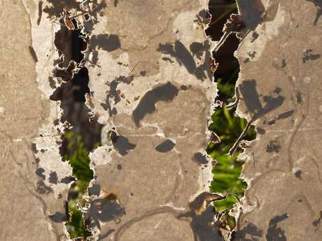 Exposition : Catherine Libmann