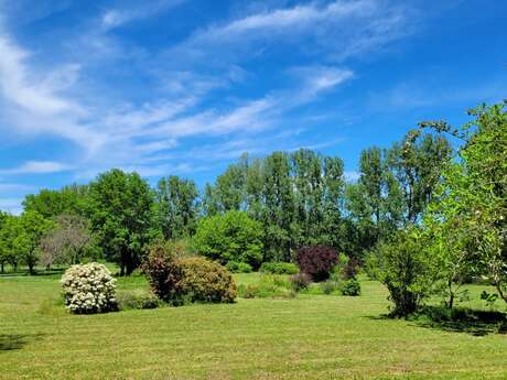 Balade commentée dans le parc botanique du Château de Neuvic - Châteaux en Fête