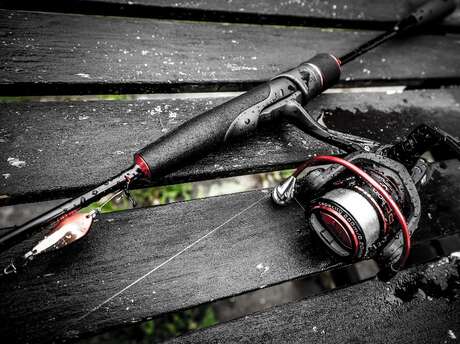 Concours de pêche à la truite