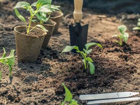 Printemps de la biodiversité - Comment réussir ses semis