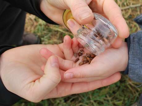 Conférence | La permaculture